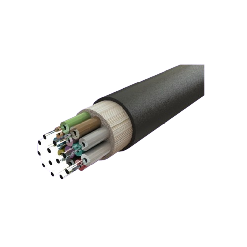insights image