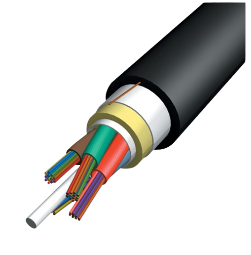 insights image