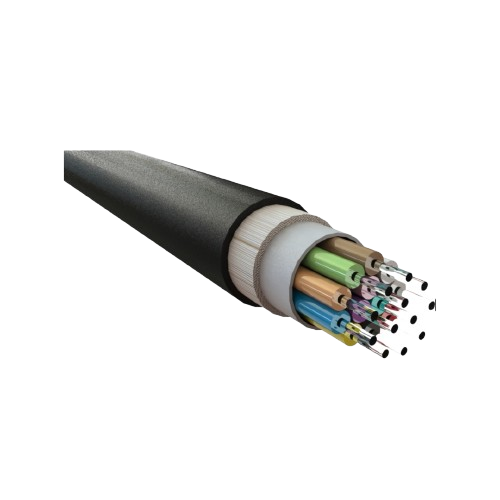 insights image